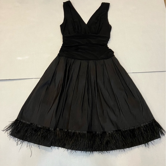 S L Fashions Dresses & Skirts - - S L Fashions black feather border party dress size 8